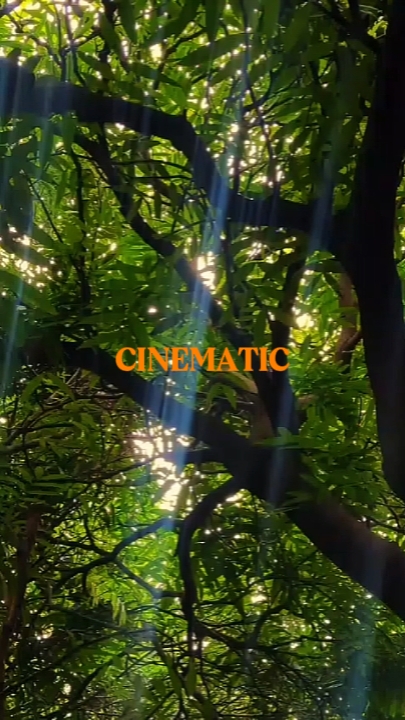 CINEMATIC
