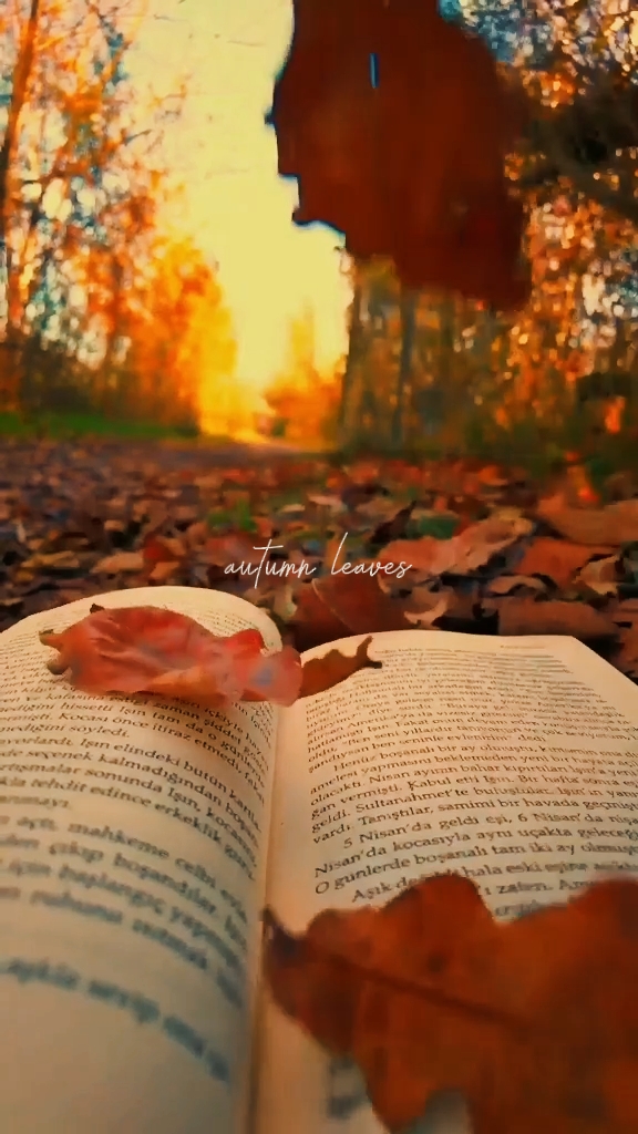 Autumn Leaves