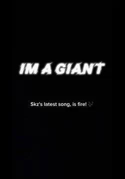 GIANT SKZ PHOTO DUMP