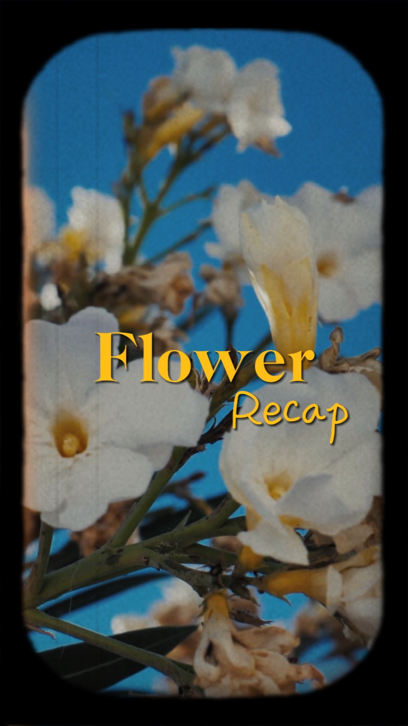 Flower Recap