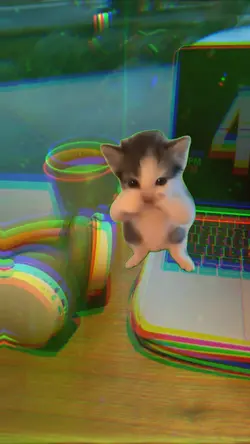 kicau mania
