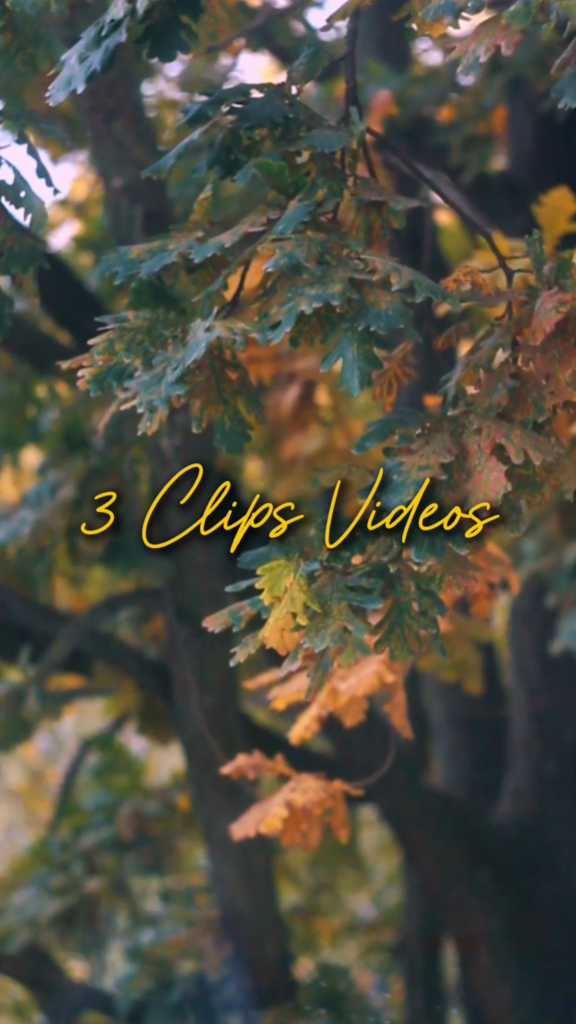 CINEMATIC 3 VIDEOS