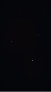 MOONLIGHT HOODTRAP 