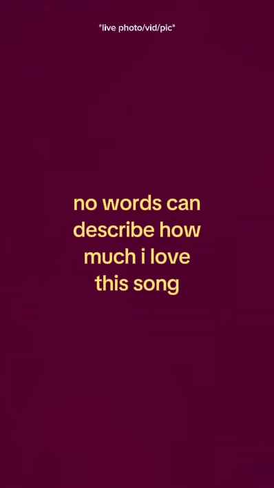 nowordscandescribeho