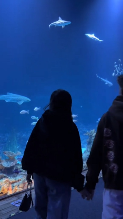 aquarium