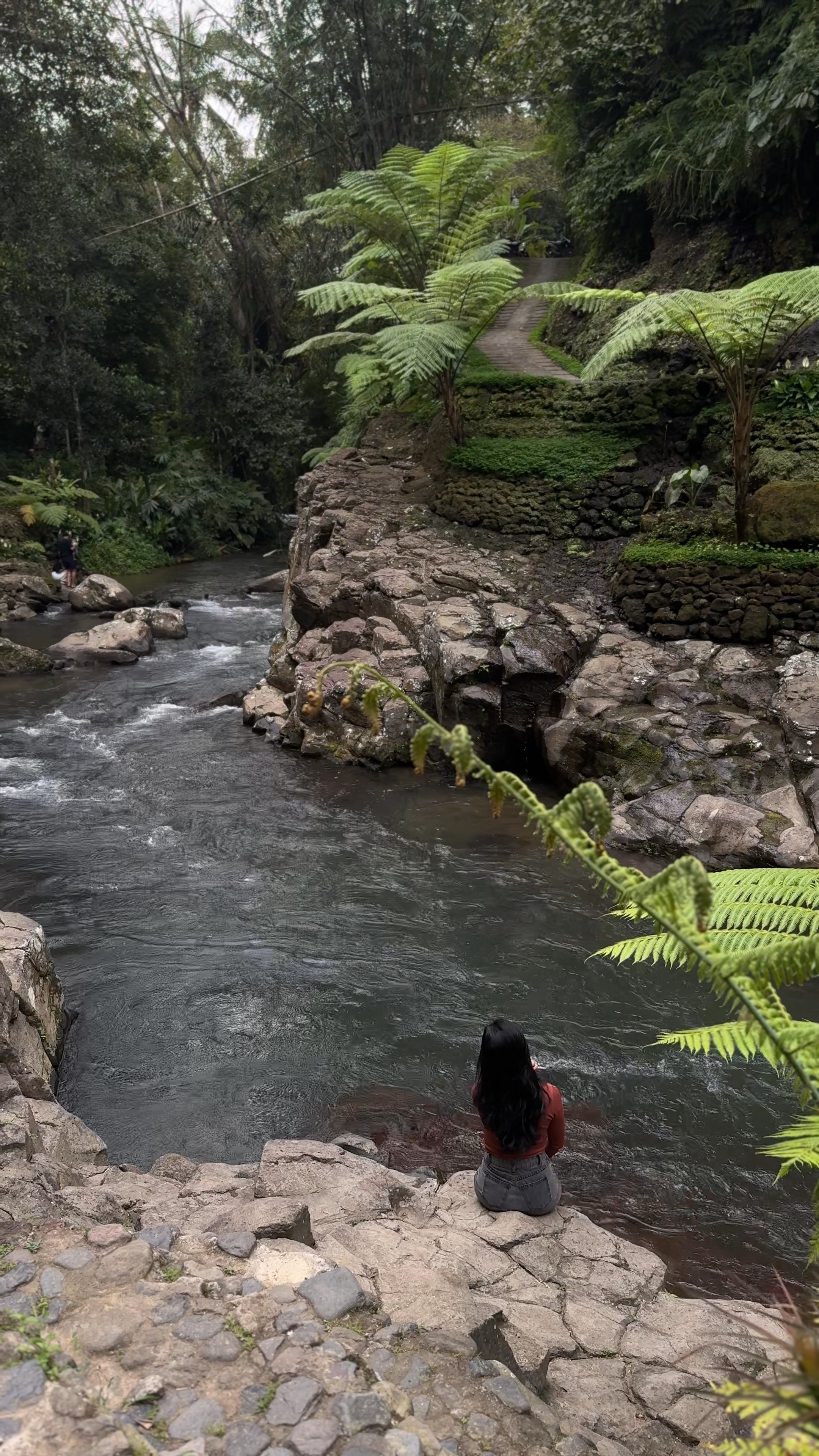 Nature 