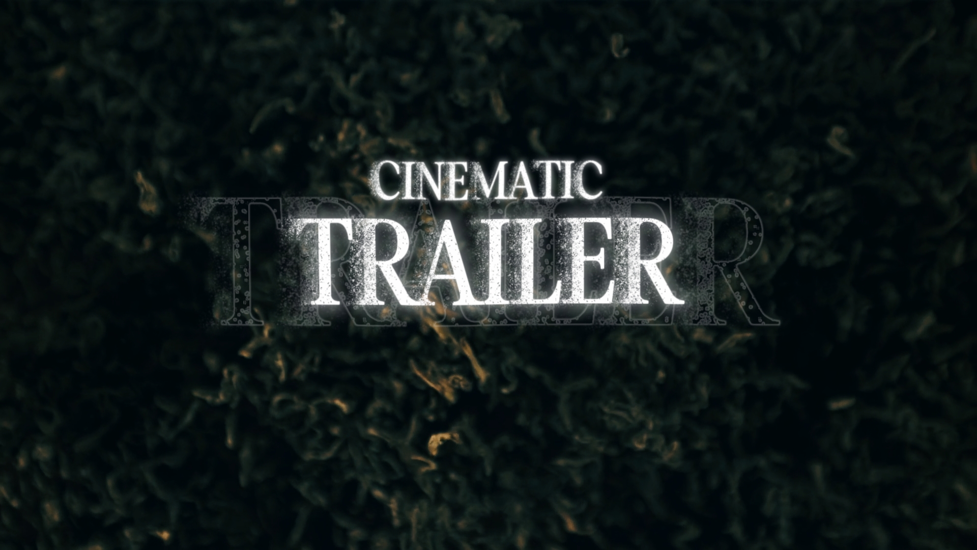 trailer 16:9