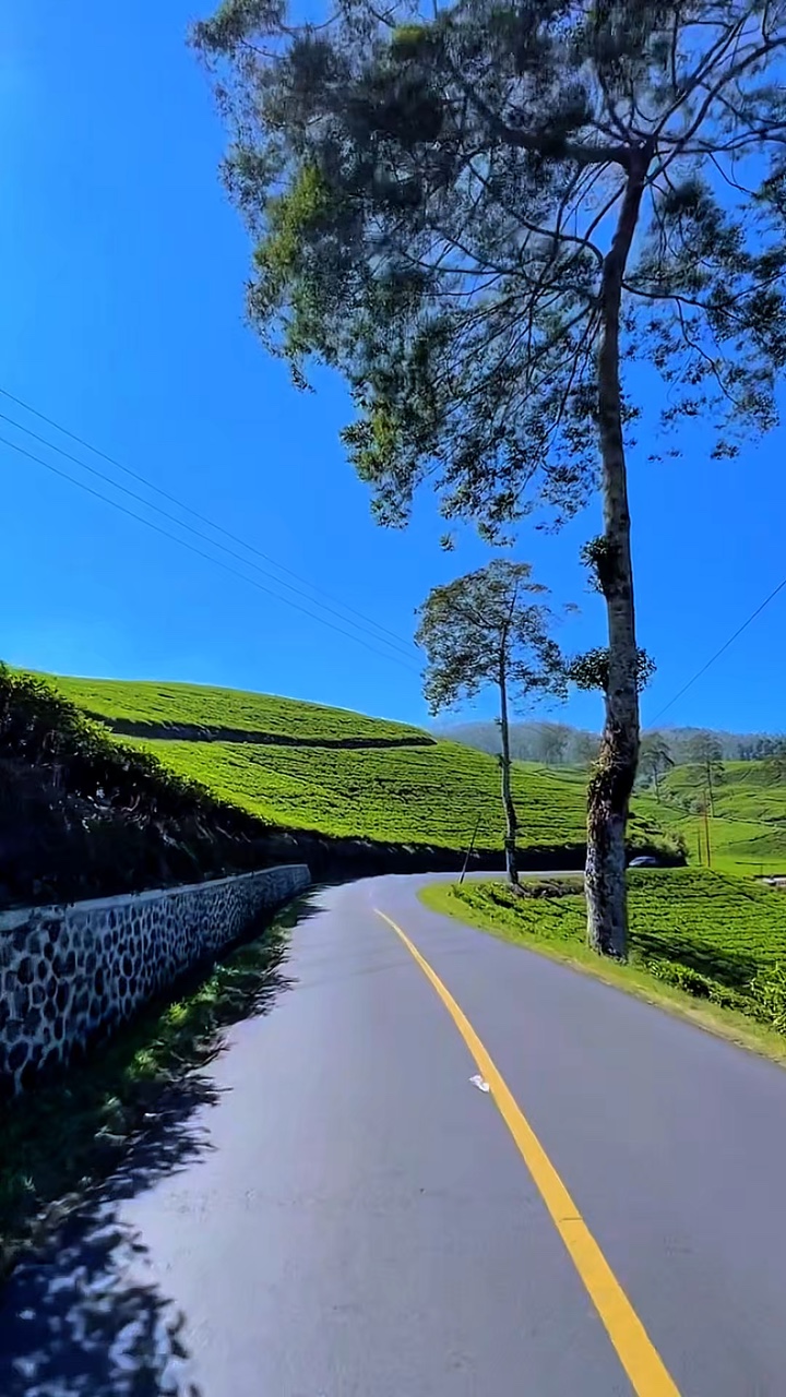 3 clips vidéo HD