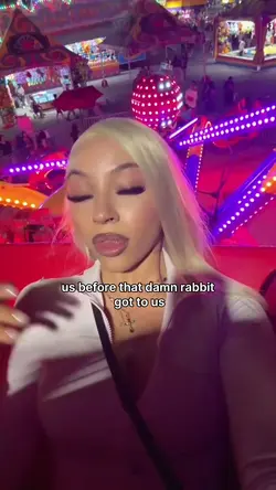 white rabbit