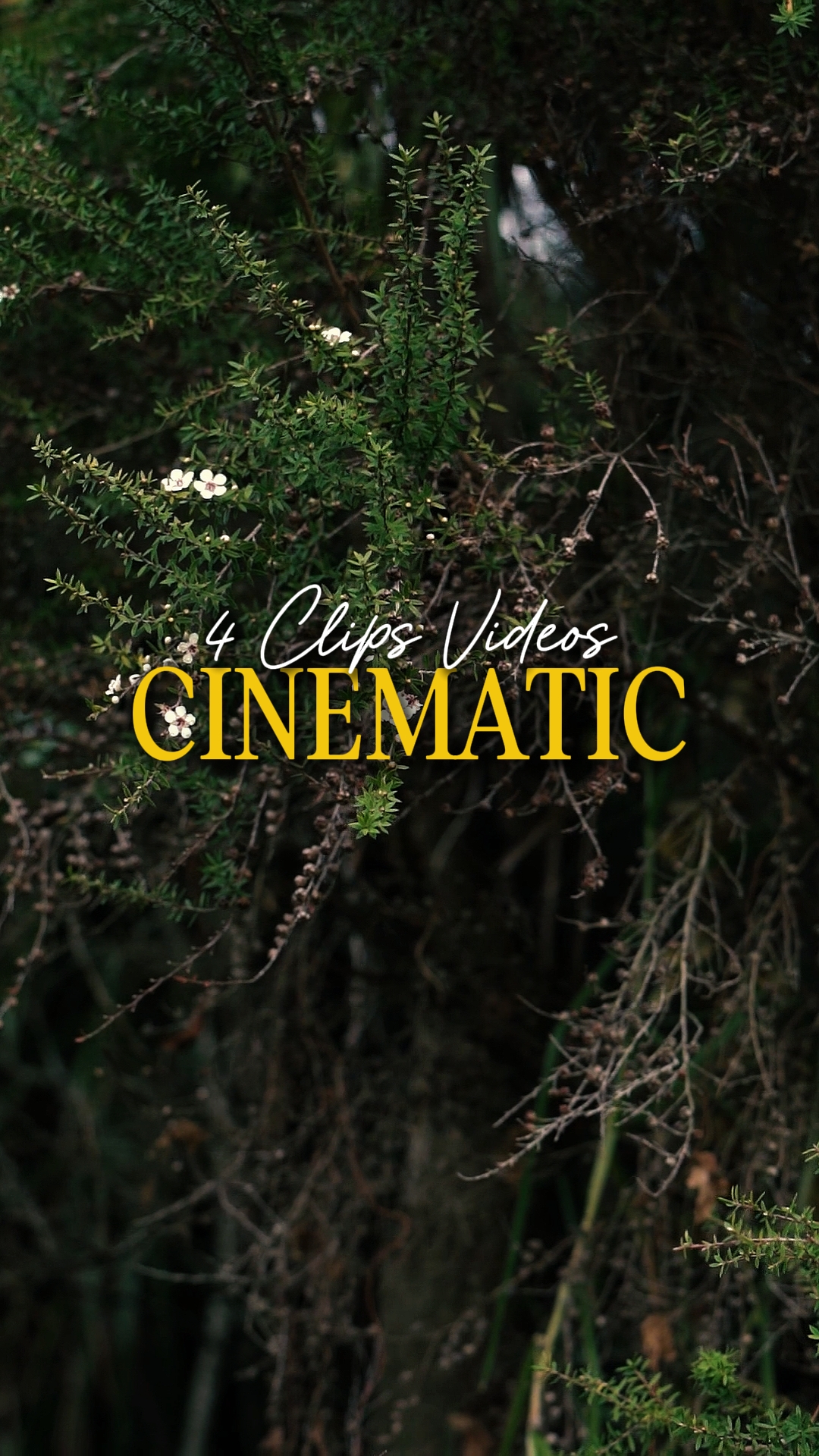 Cinematic 4 Videos