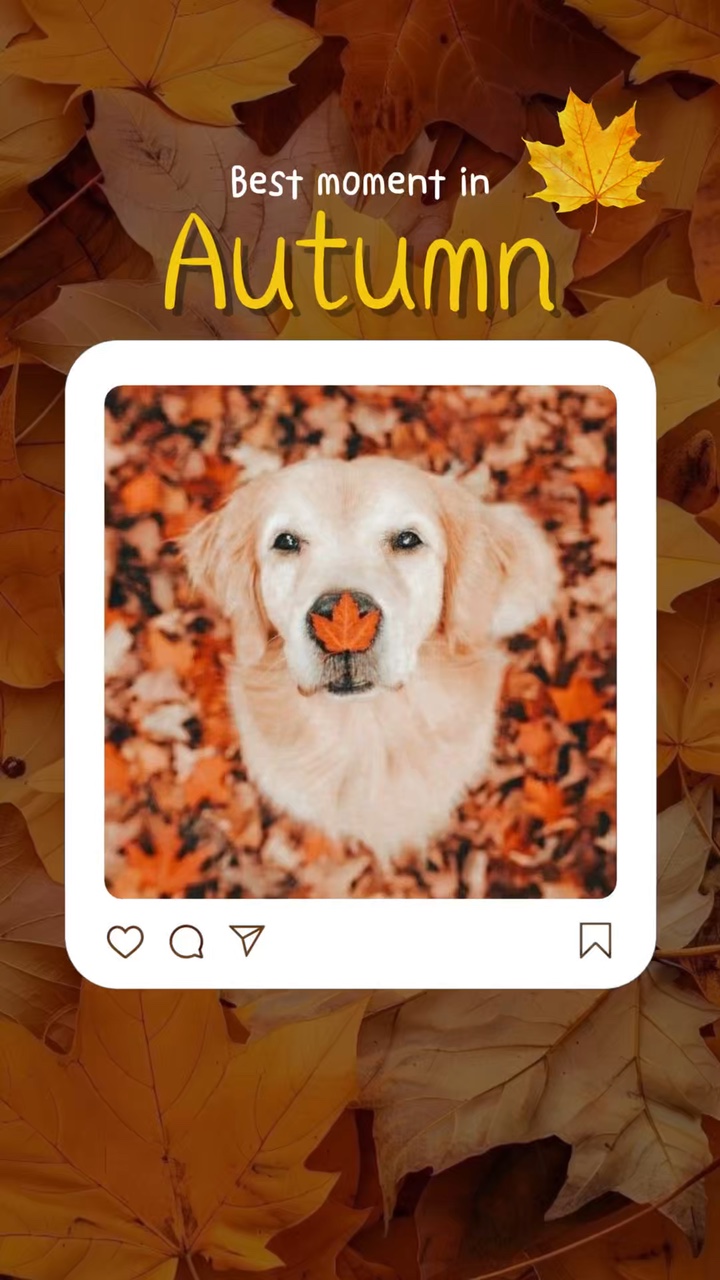 Haustier-Herbst