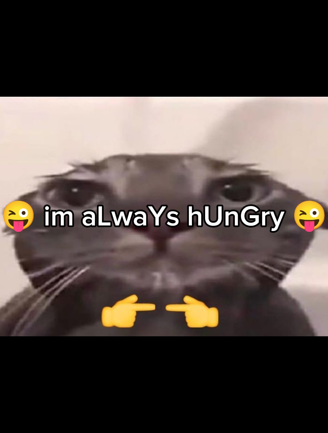 Eu quero comida! 
