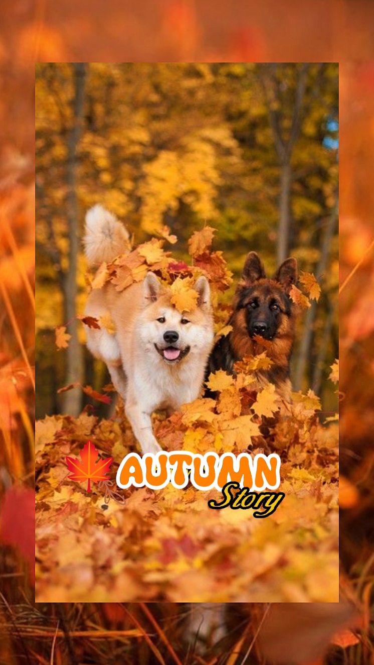autumn story