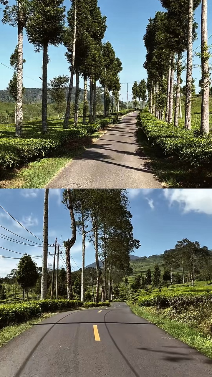 2 videos 1 collage