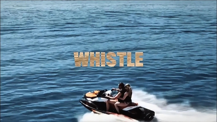 Whistle - 30 clip