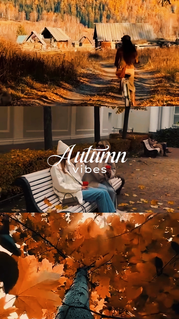 Herbst-Vibes