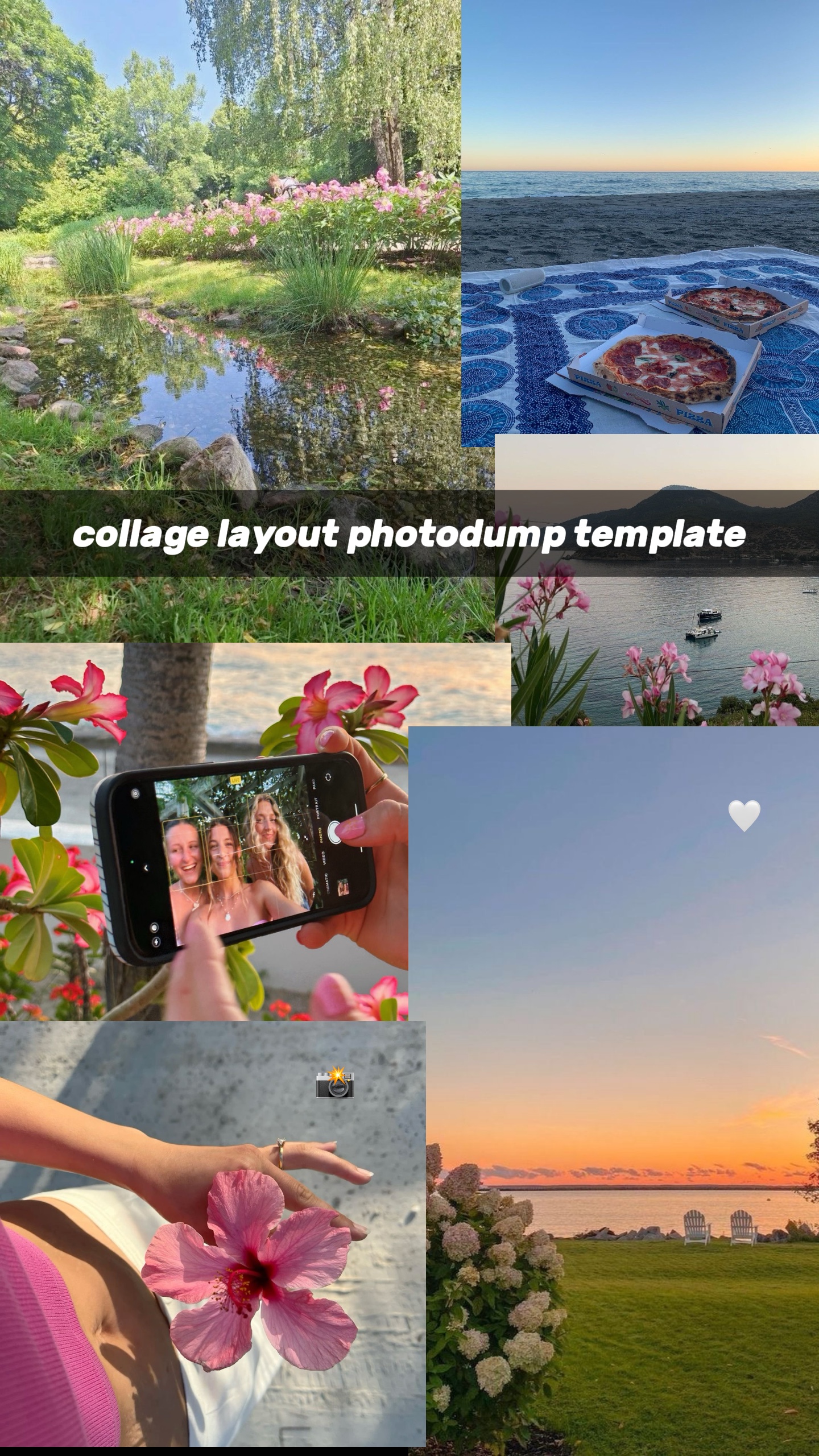 disposition du collage
