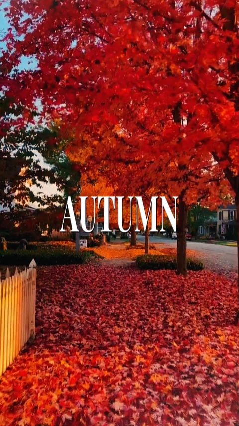 Autumn