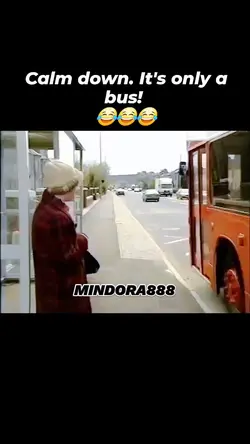 Bus Driver