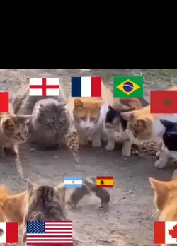 Espanha e Argentin