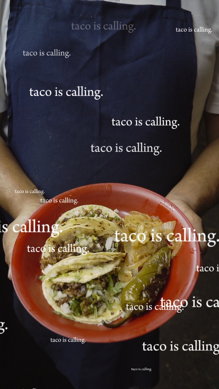 Taco está llamando