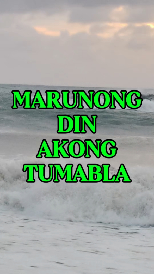 perut