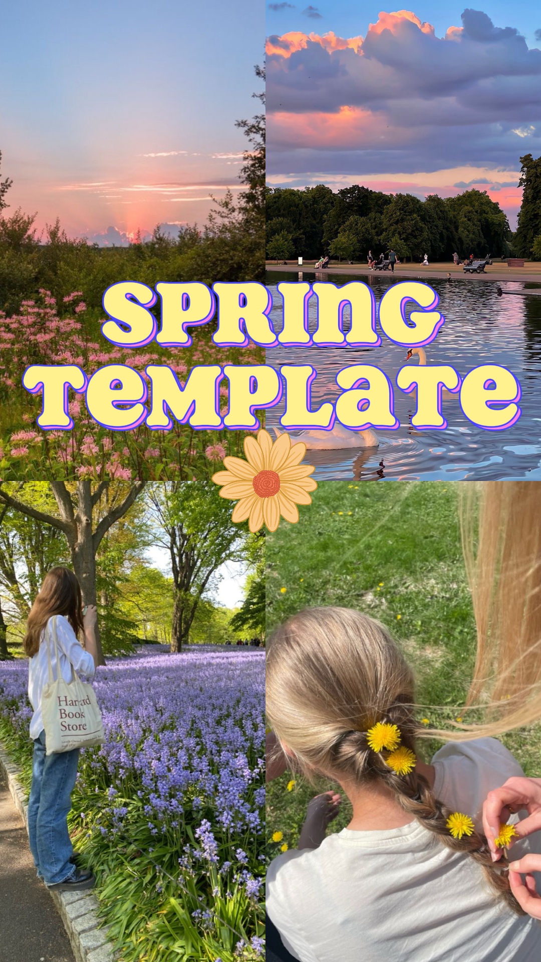 Spring 🌼