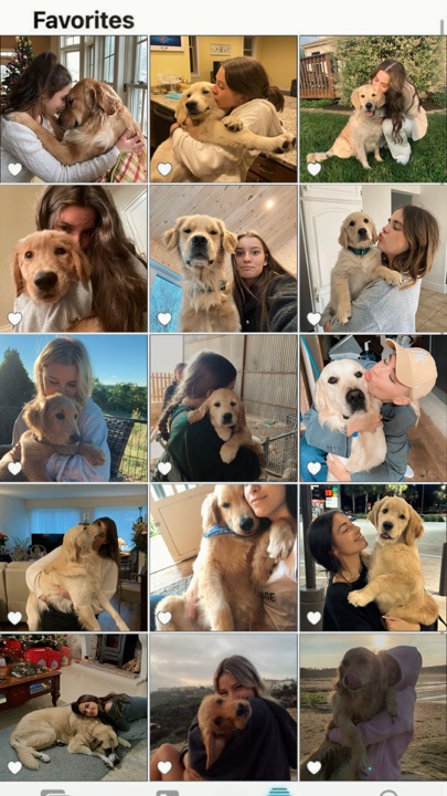 Mi perro 