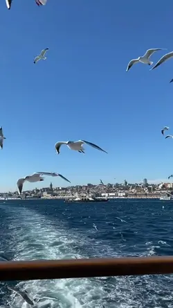 Harika slowmotion