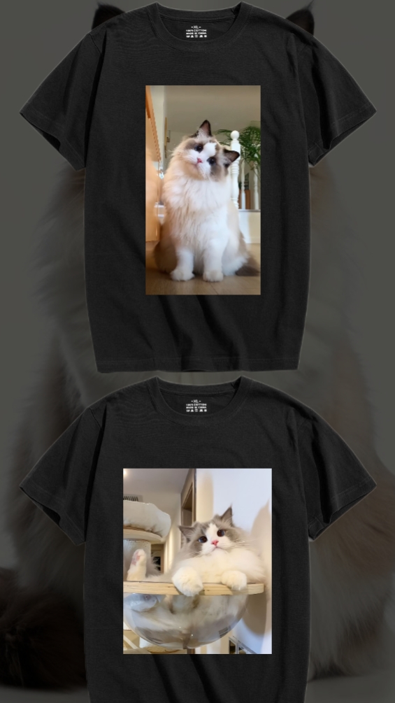 t-shirt fashion