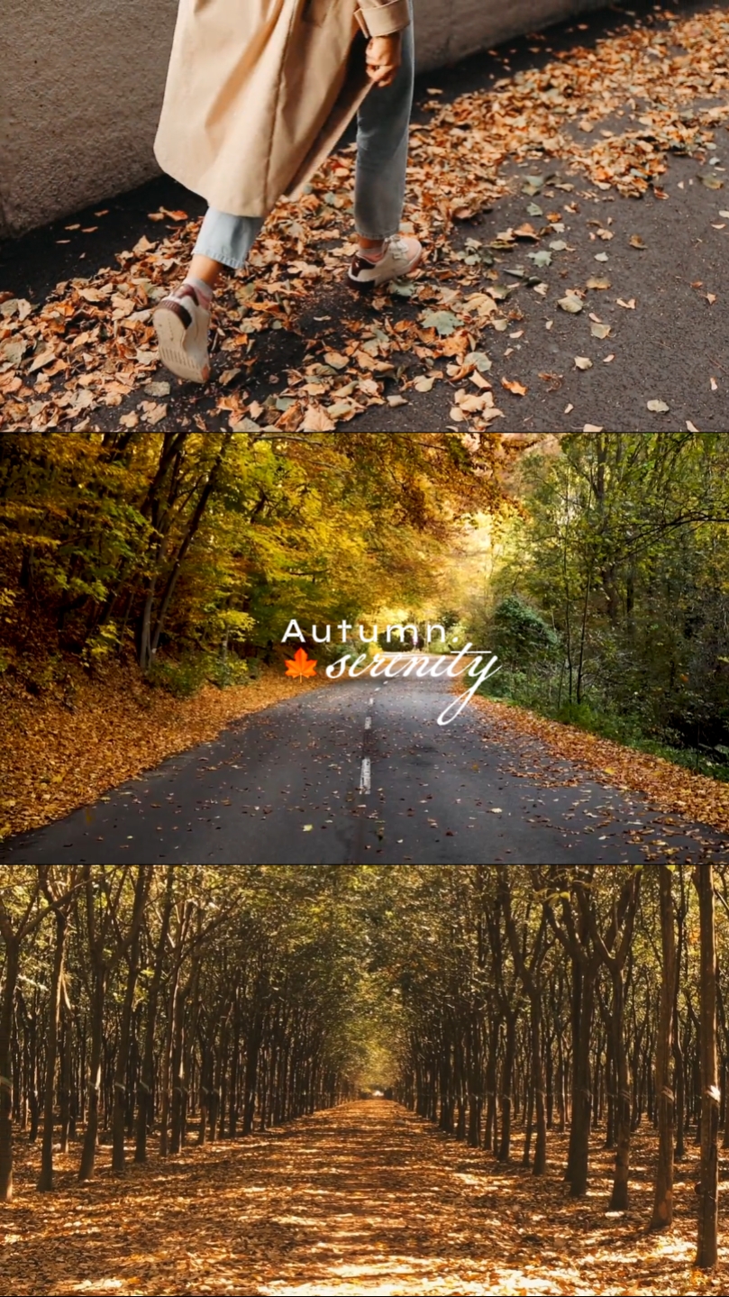 Autumn Serenity