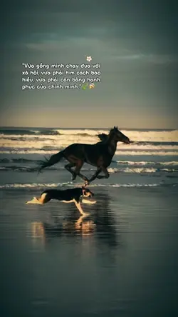 Slow + caption