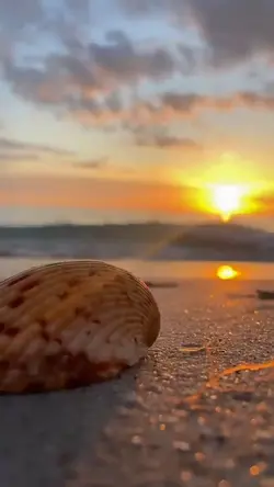louvor e adoração 