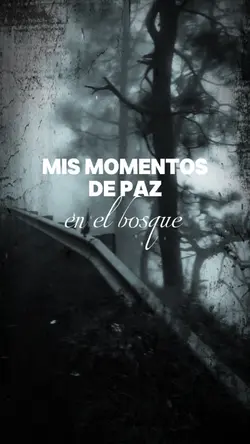 viaje al bosque