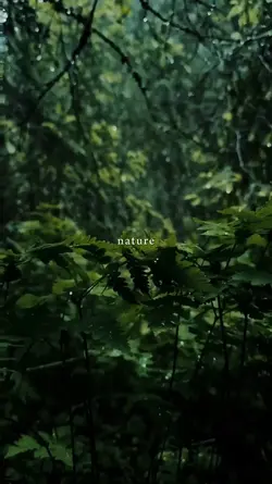 nature, therapy