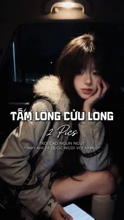 Tấm lòng Cửu Long 