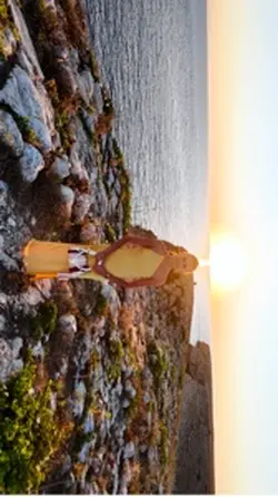 Summer video
