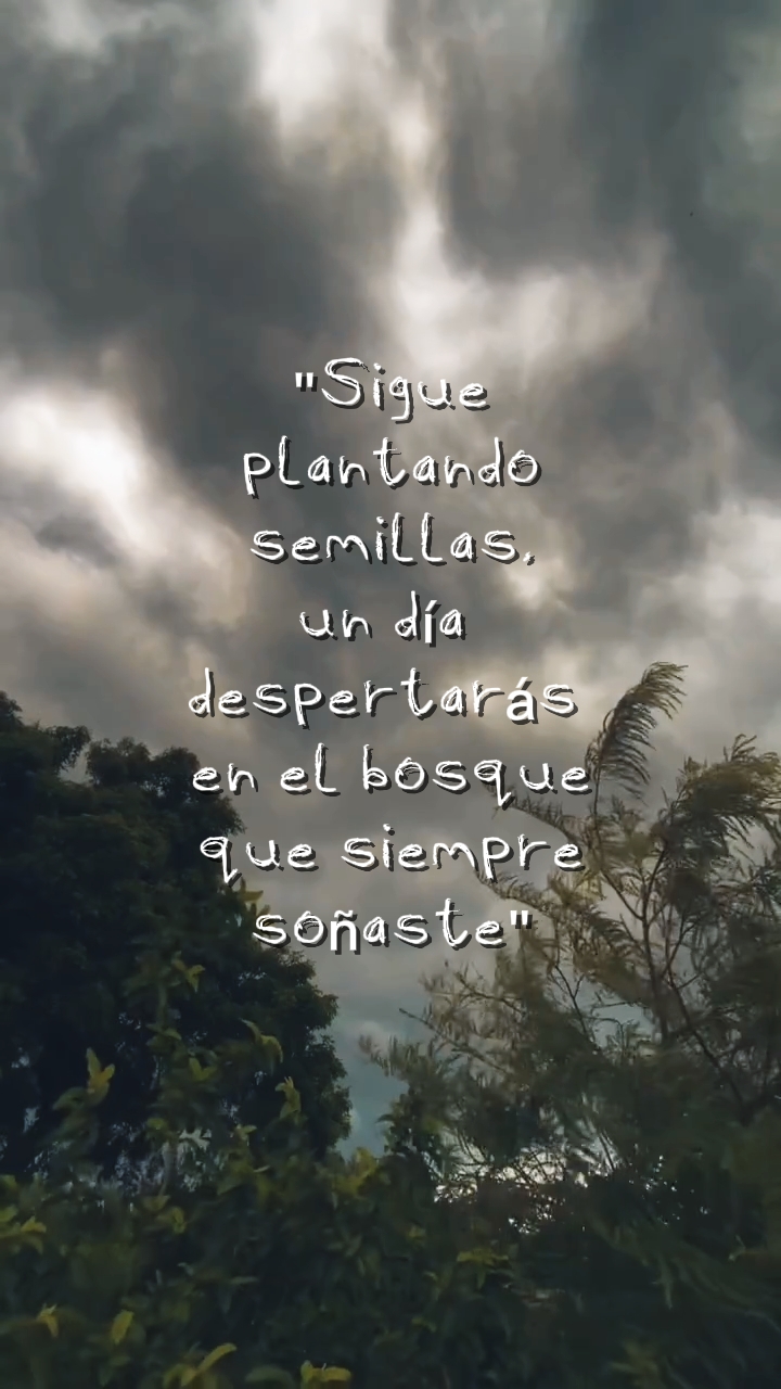 Un día cosecharás 