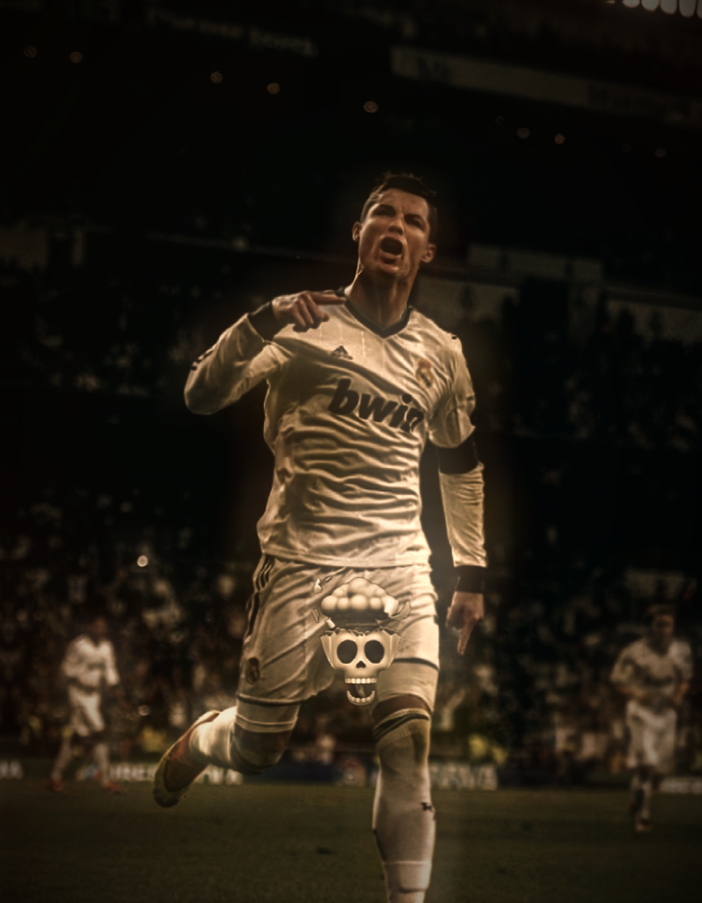 Cover Picture