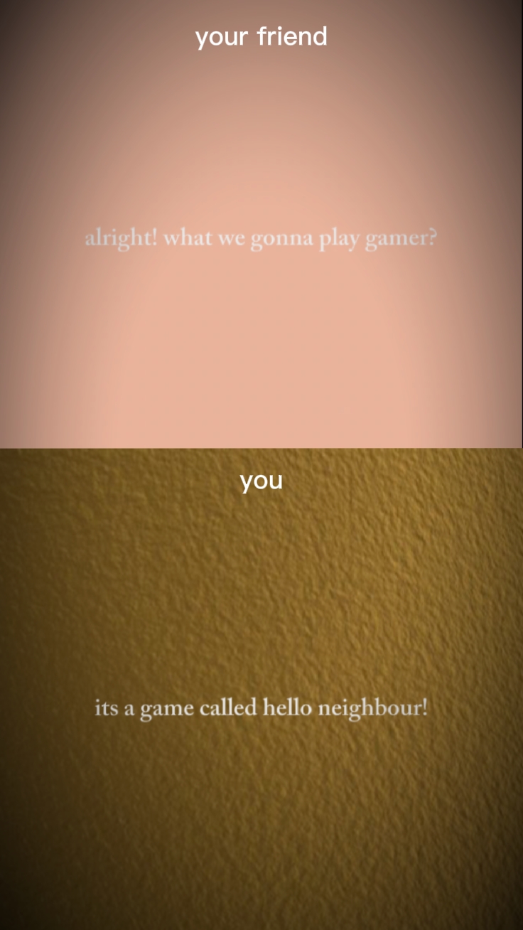 HELLO NEIGHBOUR 