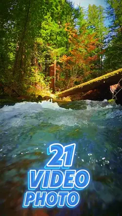 21 clip or photo