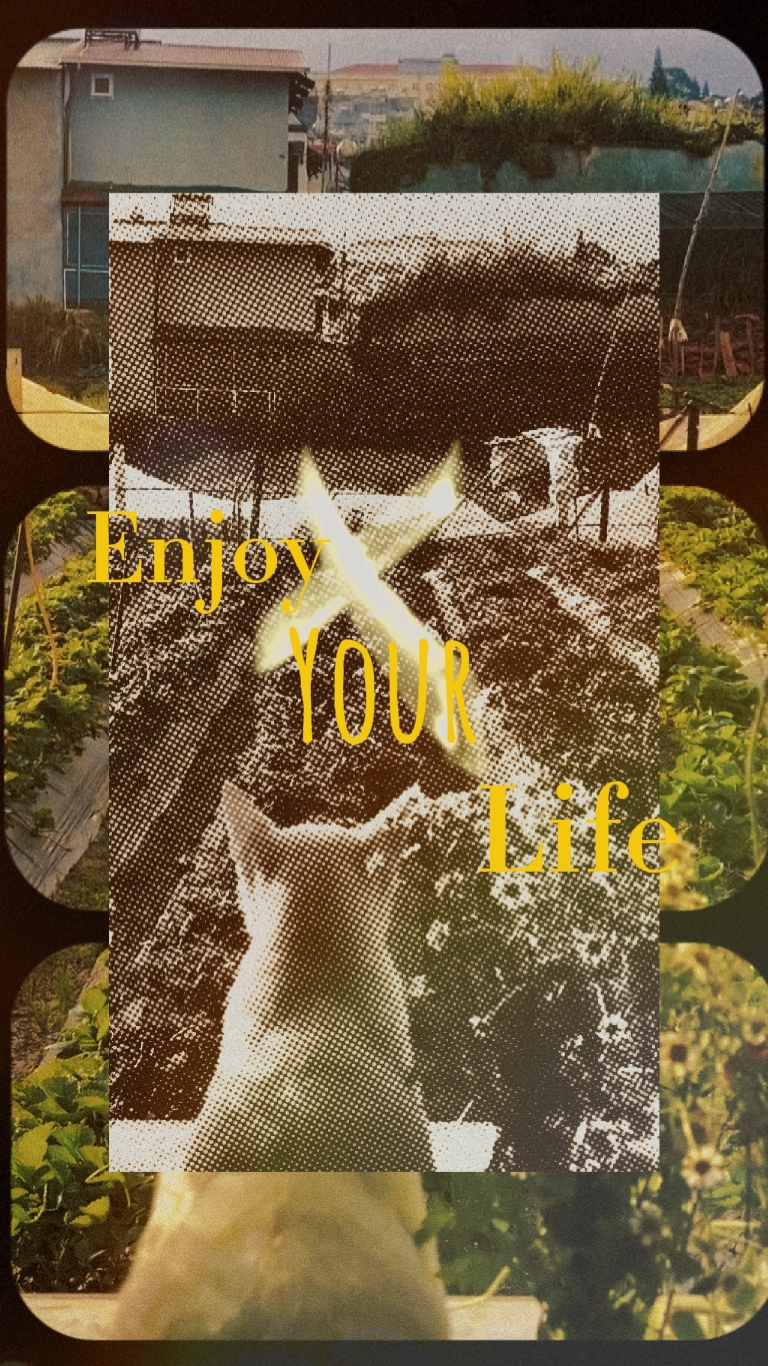 enjoy your life