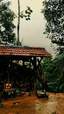 vibes pedesaan