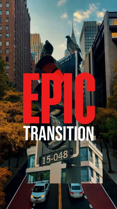 EPIC TRANSITION