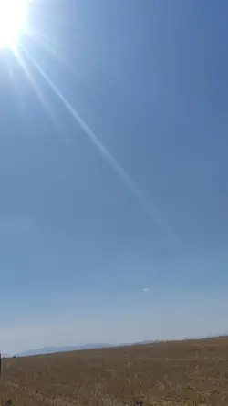 ALİŞEYHANLI