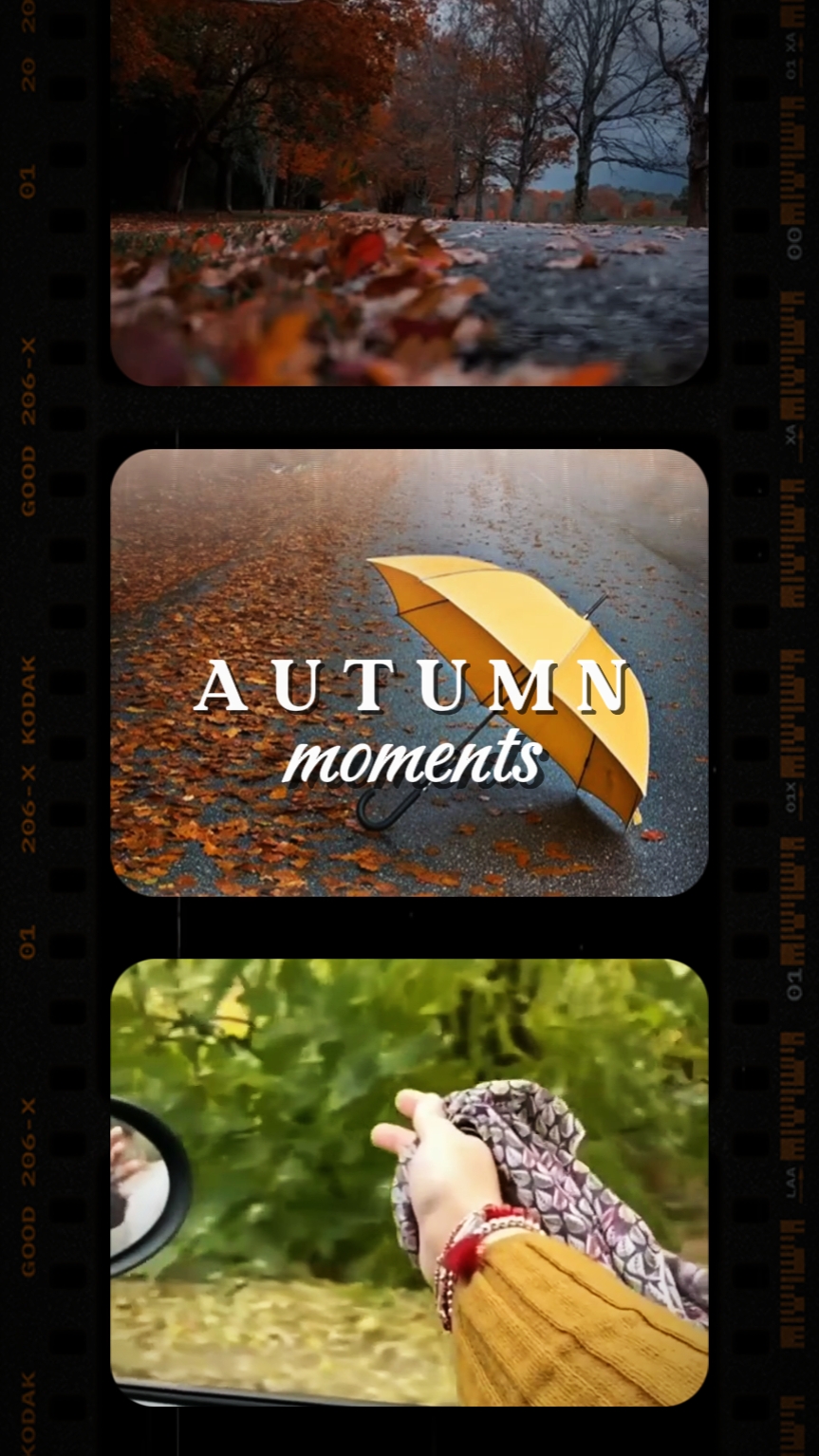 Autumn moments