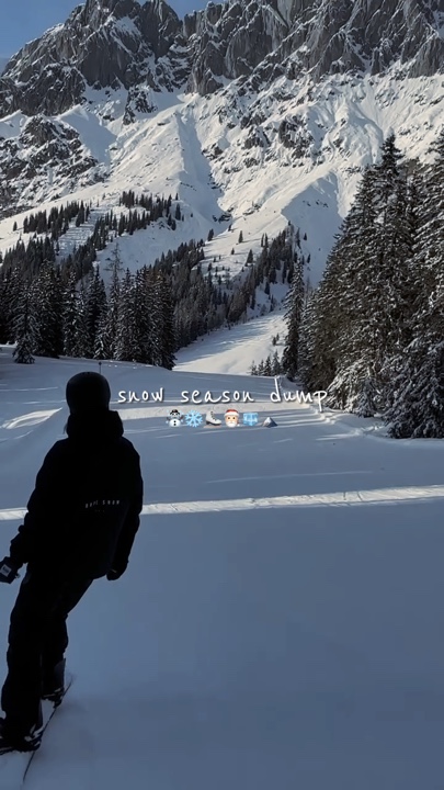 Resumen de las vacaciones de nieve