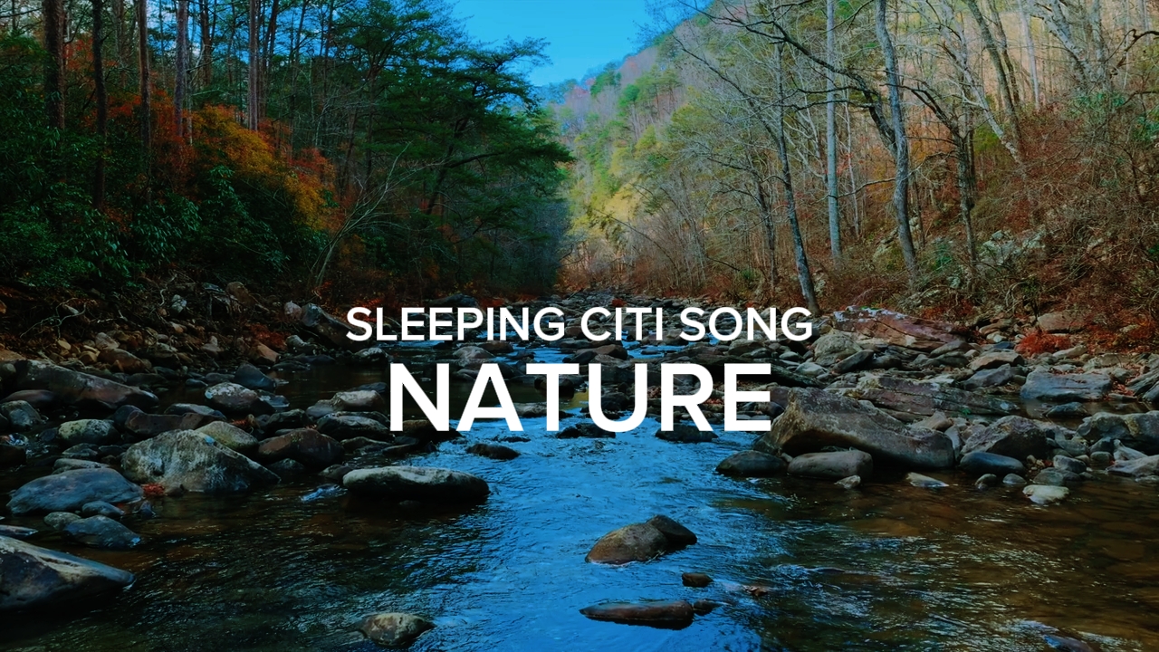 SLEEPING CITY SONG