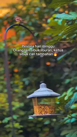 Pesona hari minggu 