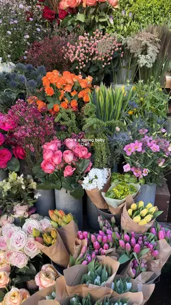 Spring baby